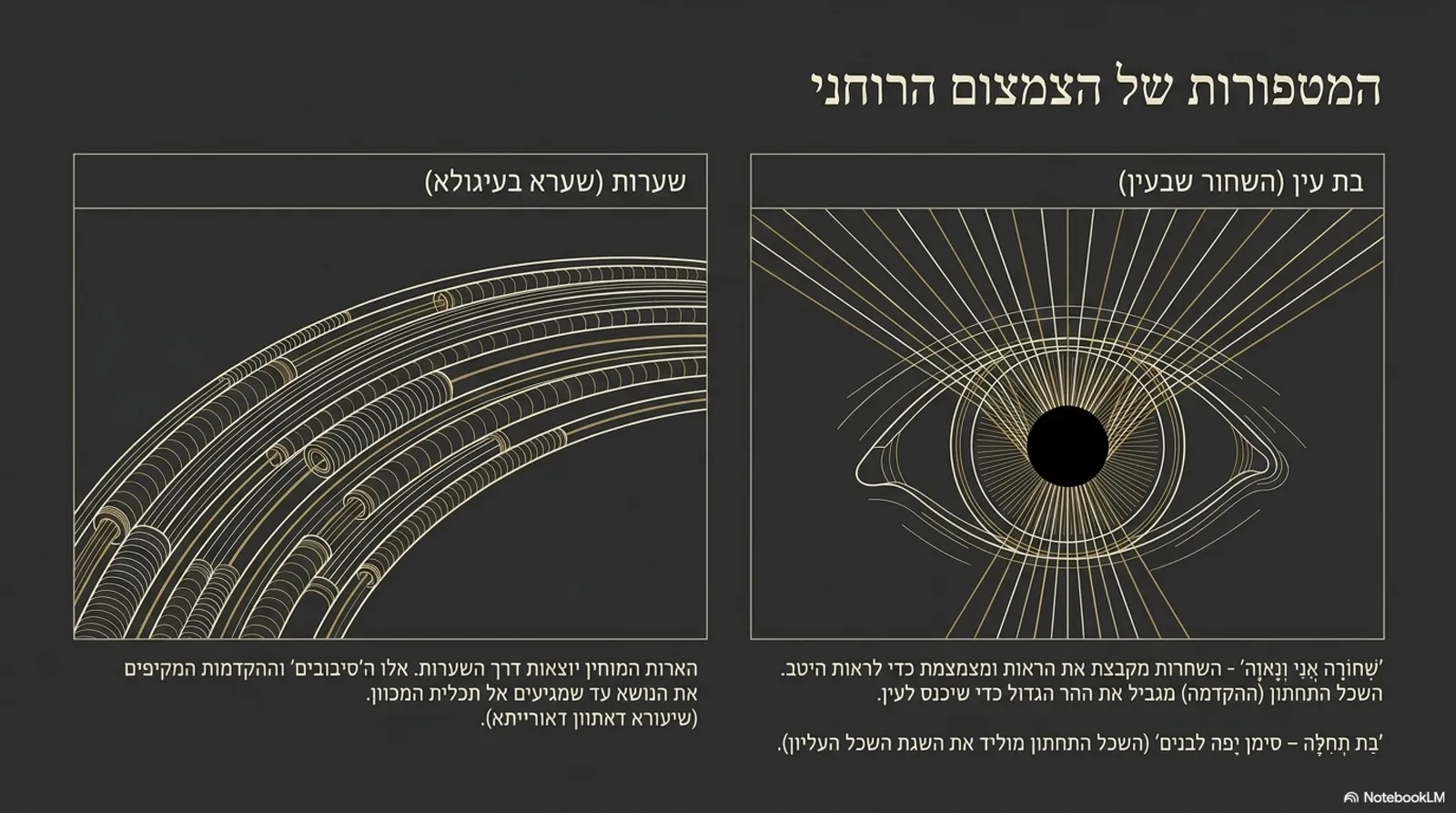 שקופית 5